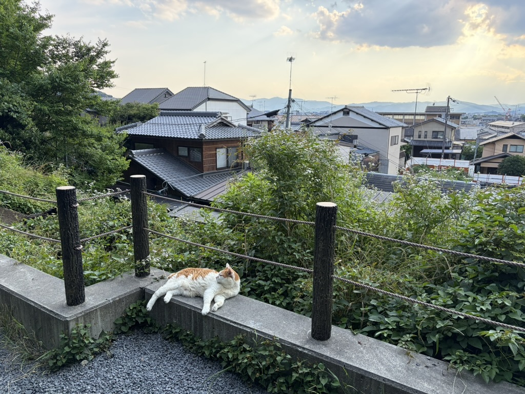 philosopher's path