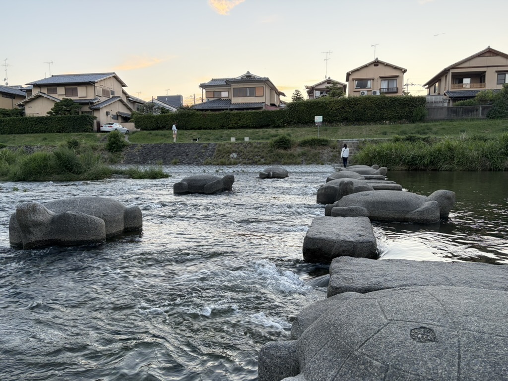 stone turtles
